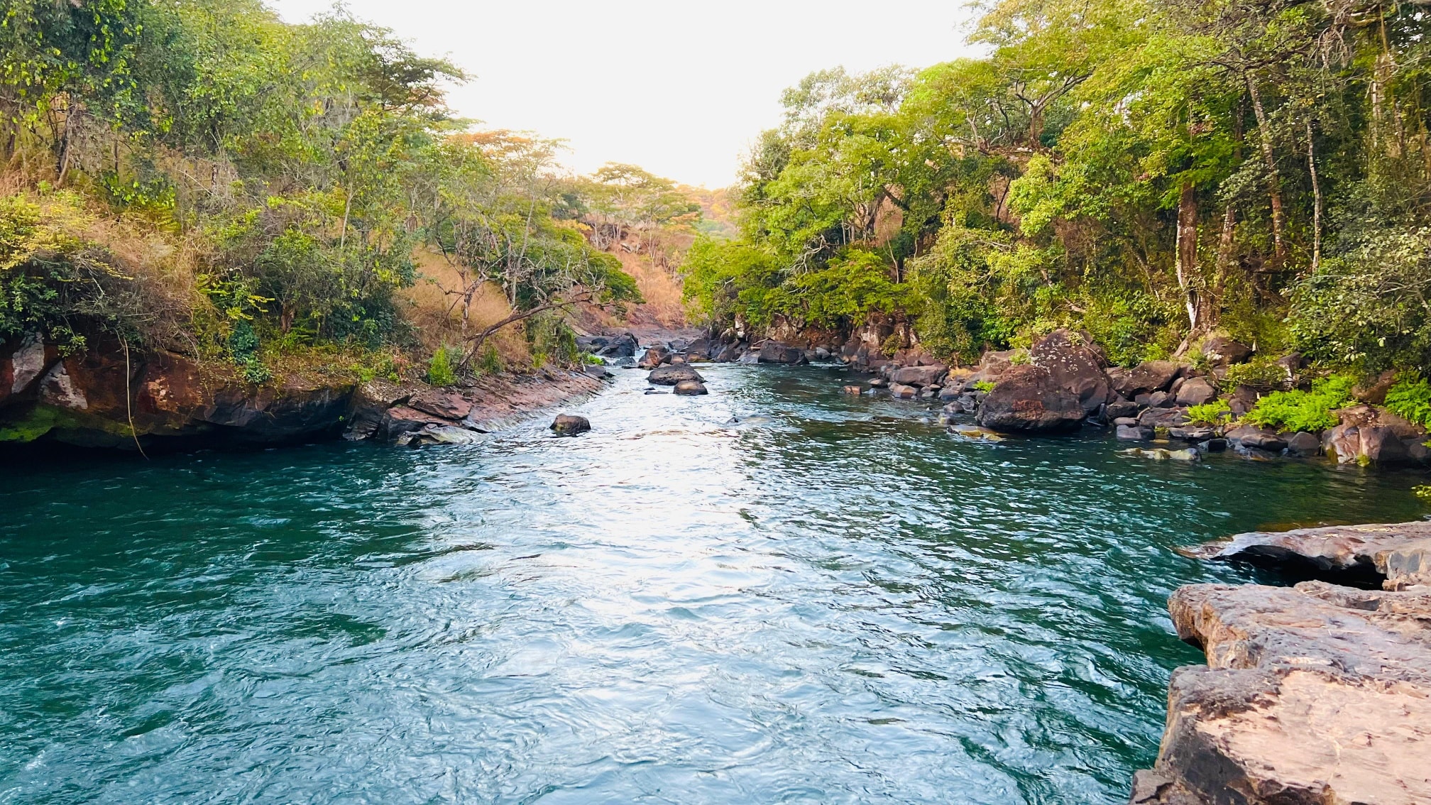 Profissional em escritório